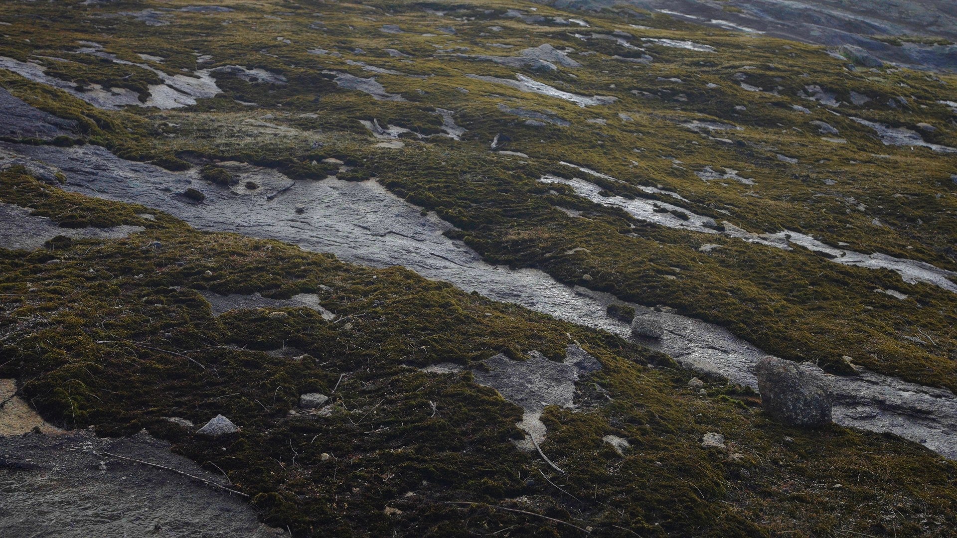 MOTION_HIKE3